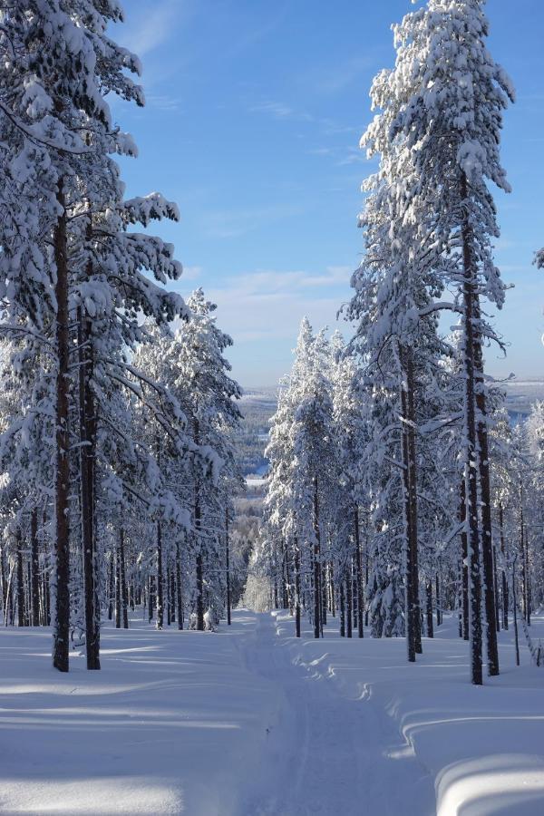 Yurt District Otel Rovaniemi Dış mekan fotoğraf